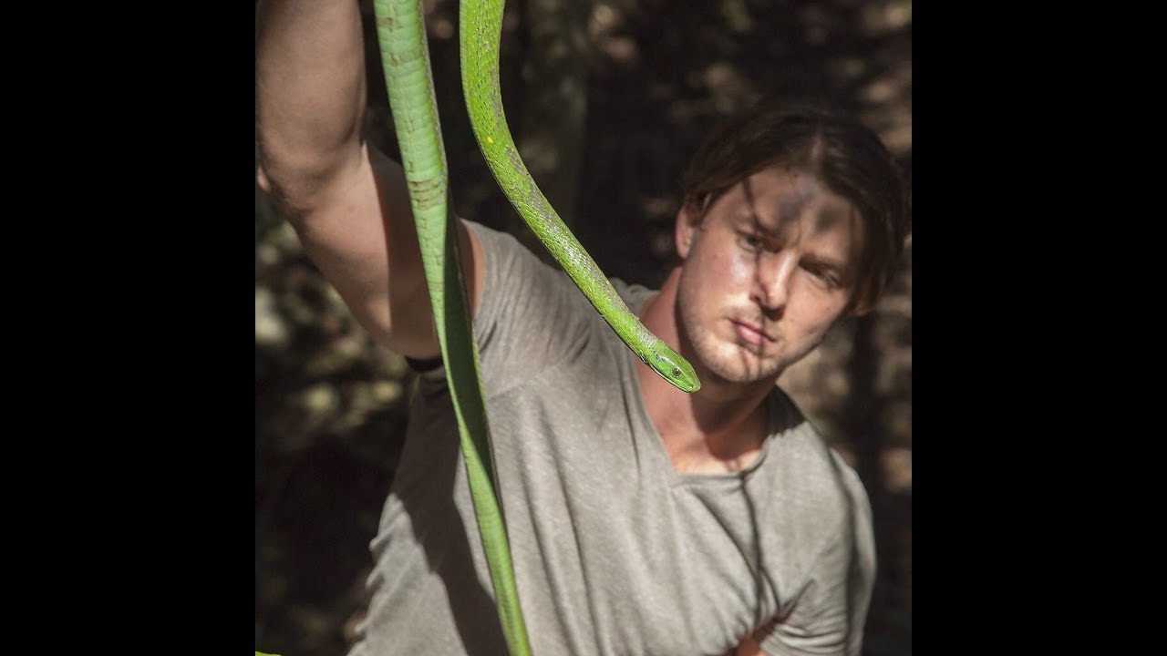 Green Mamba vs Human!
