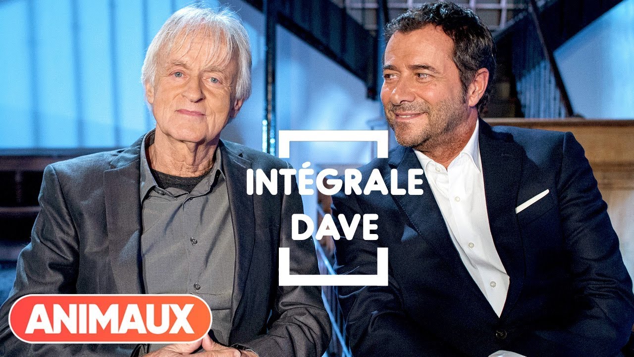 Dave est dans Animaux Stars - Animaux
