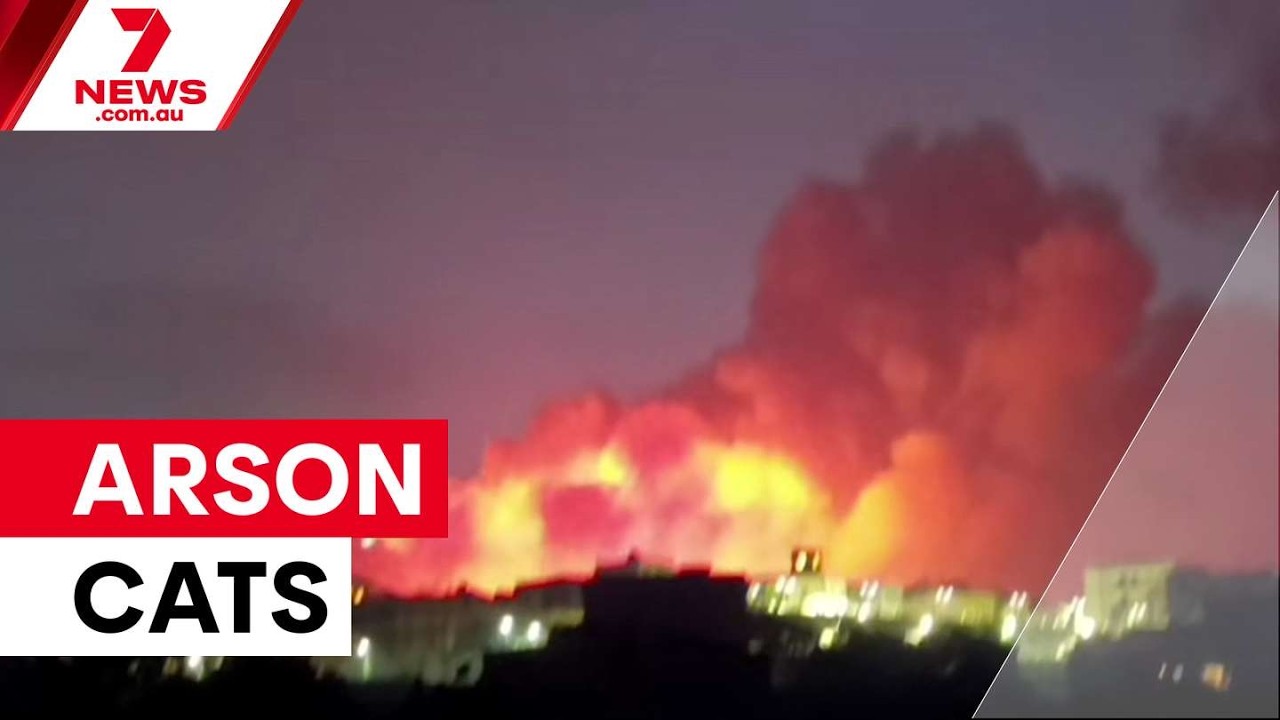 Кошки в роли орудия поджога в Италии | 7NEWS