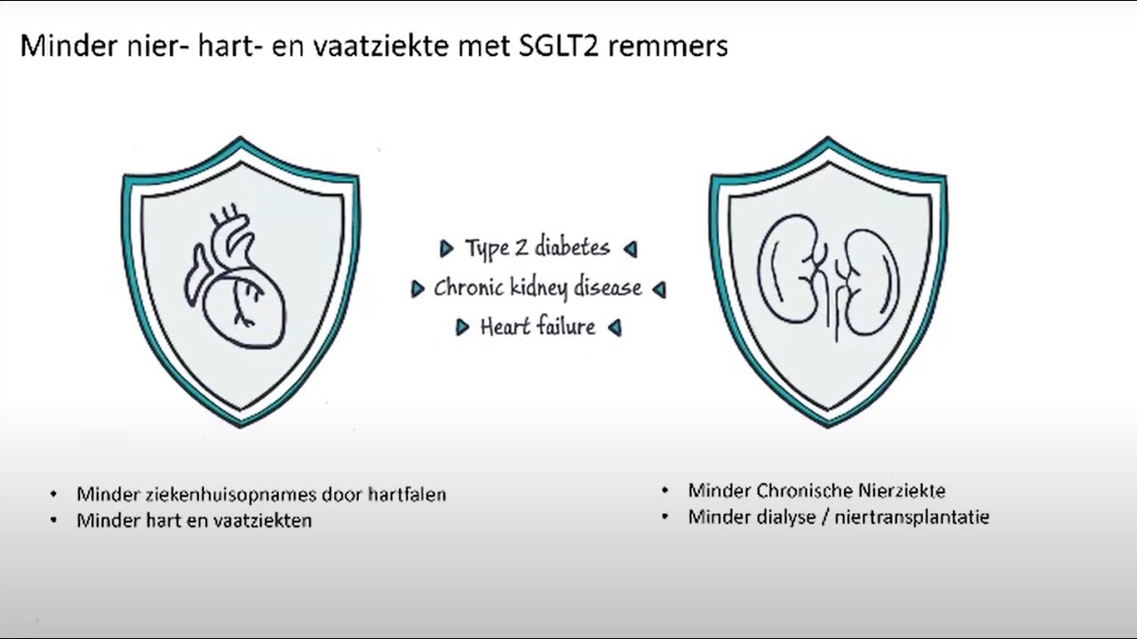 Webinar: SGLT2 remmers laten nierpatiënten langer leven