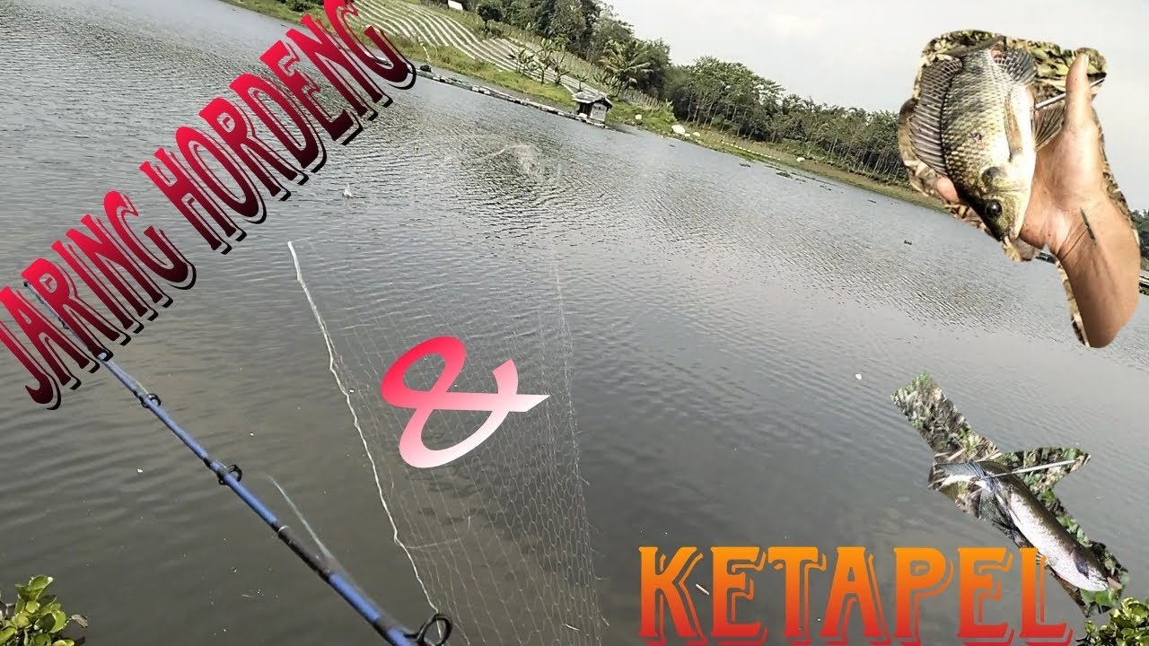 Berburu Ikan,,🐠❗ ya kalo 