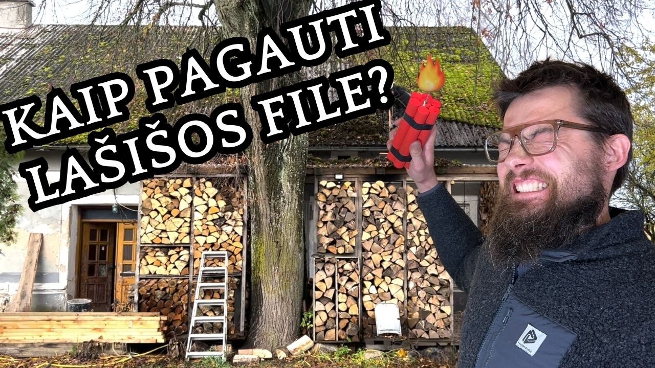 STOGAS, KAMINAS IR SPROGMENYS