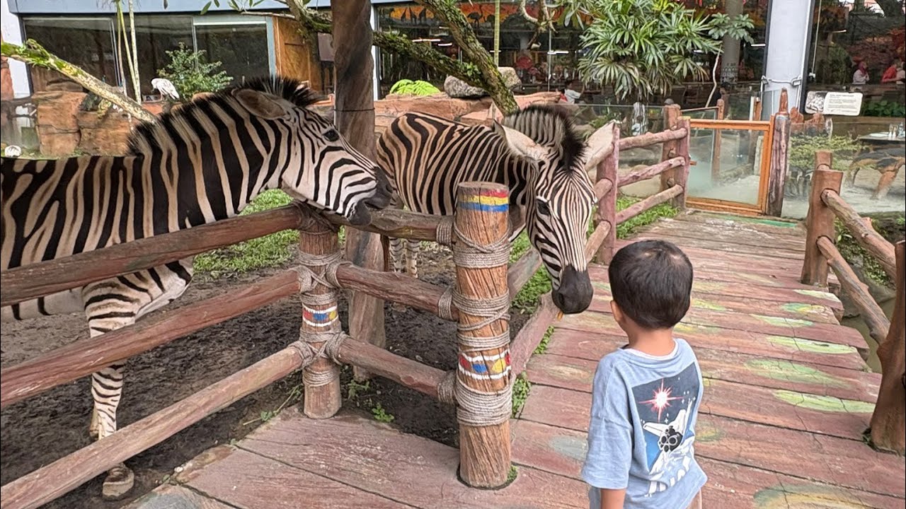 Safari Day Out at Royal Safari Garden Puncak 🦓🦜🦒🦚