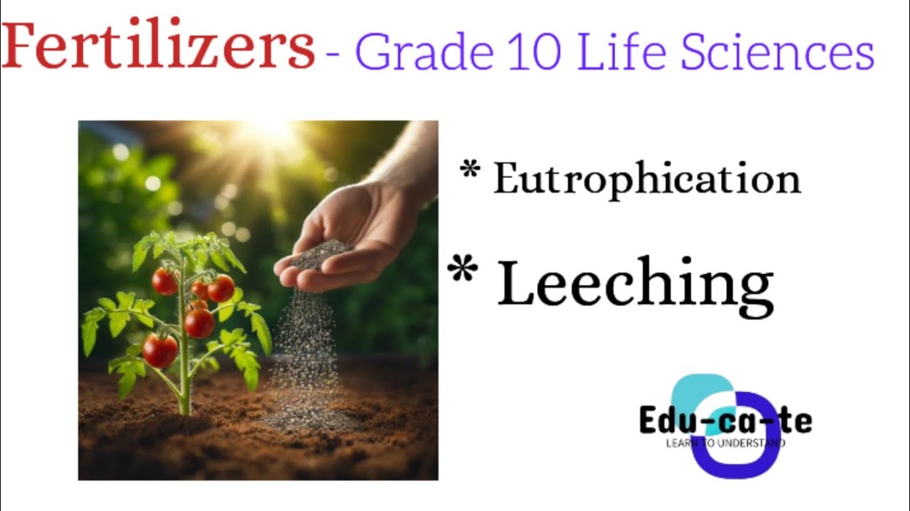 Fertilizers. -  Grade 10 Life Sciences