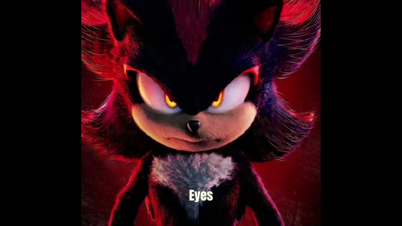 Shadow Voice Choose Your Fighter Sonic The Hedgehog 