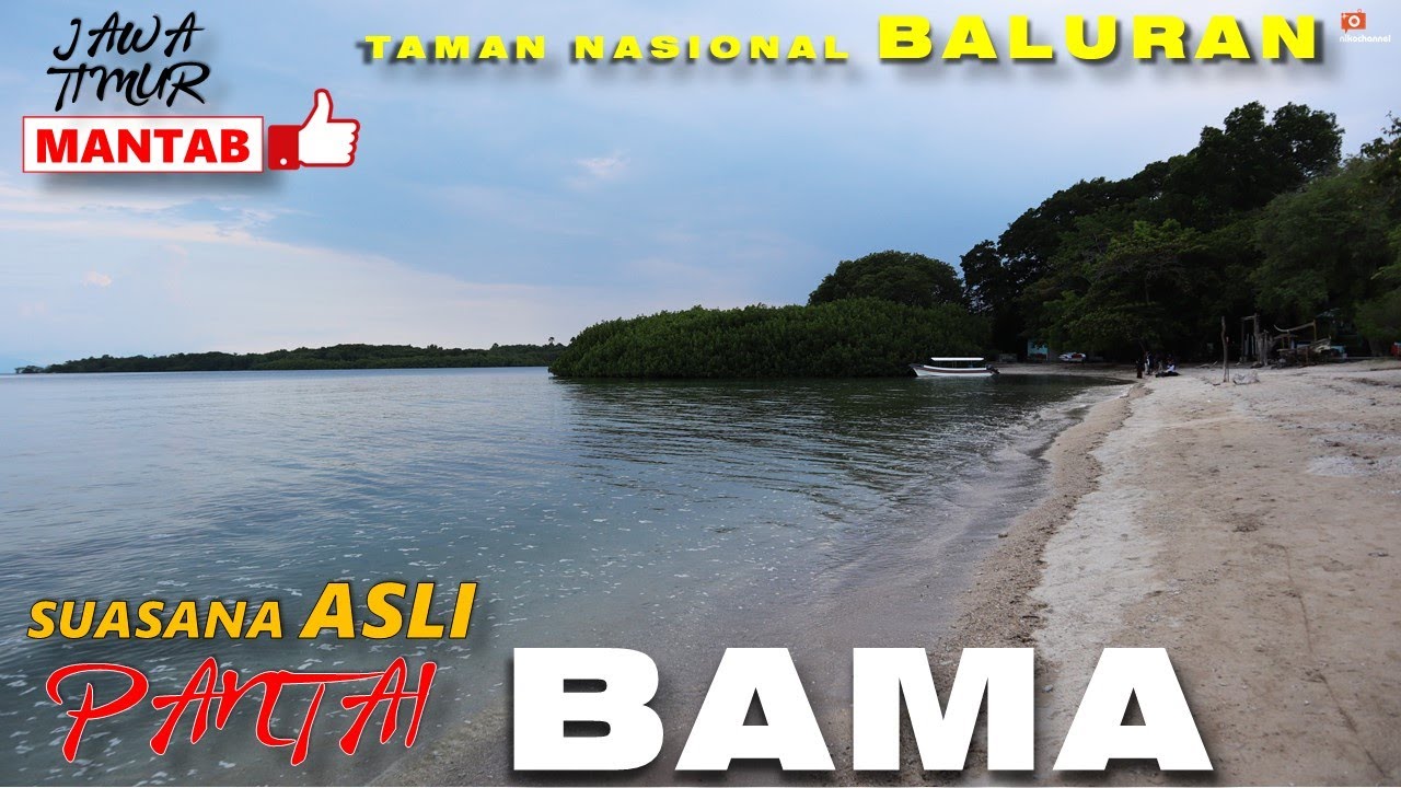 Pantai BAMA Baluran - Suasana Asli Sore Hari Bisa melihat Pulai BALI