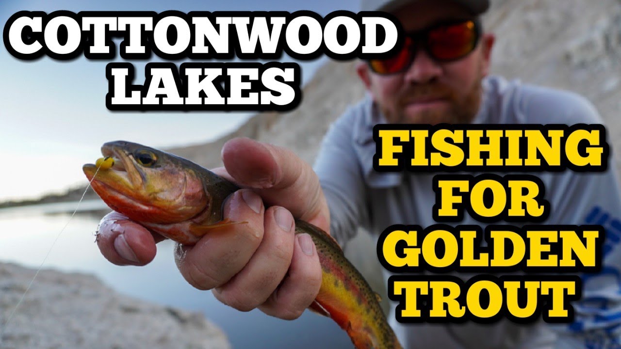 Fishing for Golden Trout | Cottonwood Lakes | Eastern Sierra | 4K