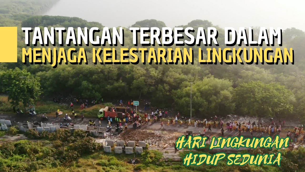 Mengajak Masyarakat Gotong Royong Bersihkan Pantai Mangrove | World Environment Day 2024