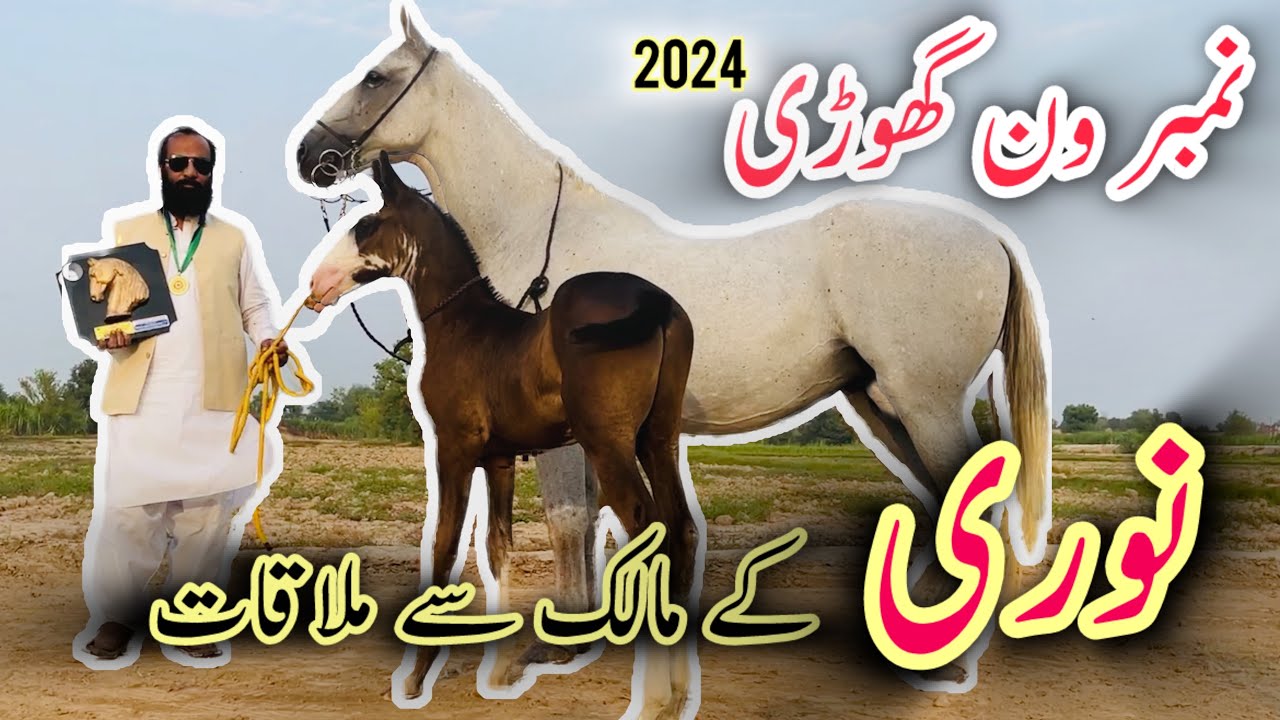 Pakistan ki Number One Ghori 2024 || Noori No. Mare