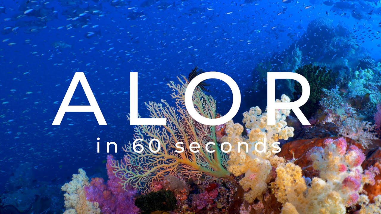 DSA Alor in 60