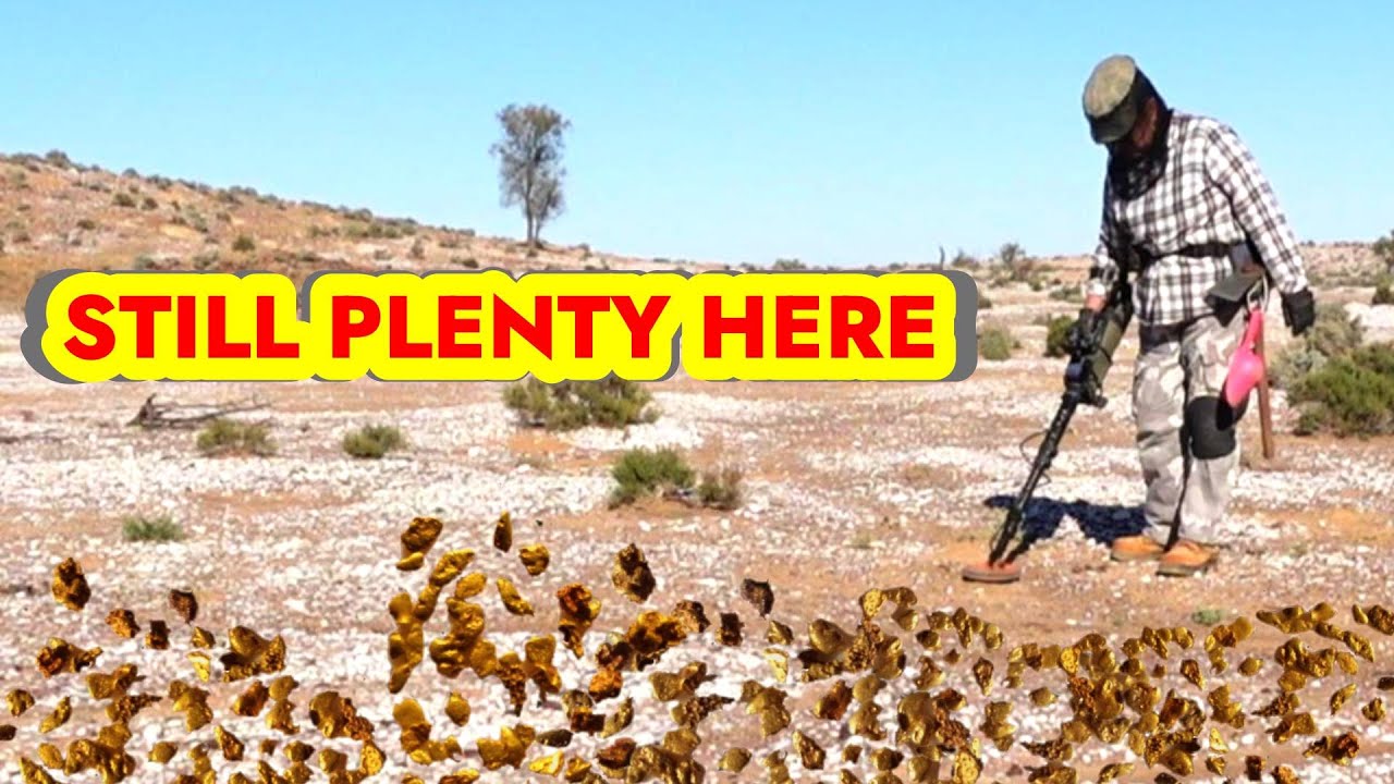 FREE RANGING FOR GOLD At Tibooburra | Liz Kreate
