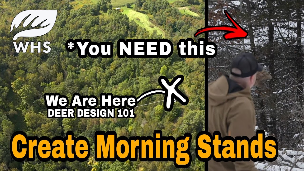 Critical Morning Vs Evening Stand Location Strategy