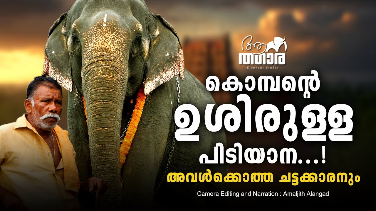 ചിന്നംവിളി കേട്ടാൽ ആരും ഒന്ന് ശ്രദ്ധിക്കും | Othera Sree Parvathy | Kallissery Ani | Kerala Elephant