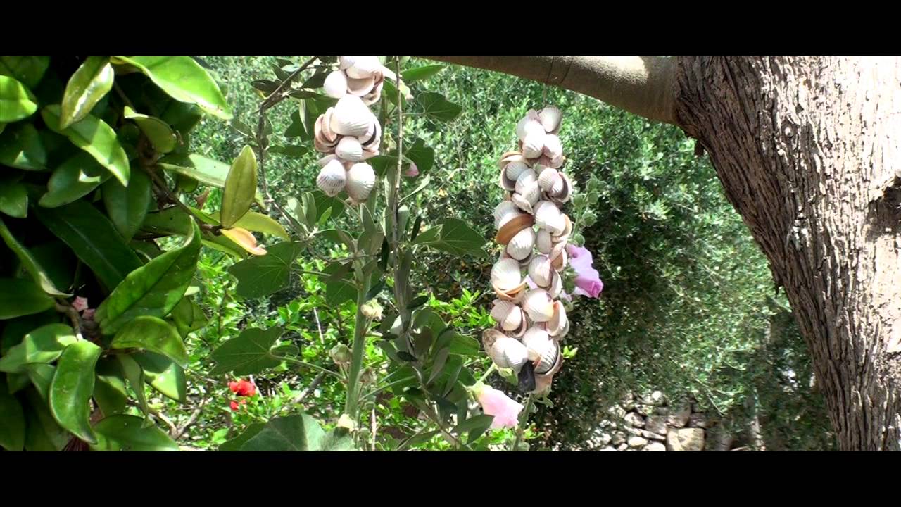 Parco di Ugento e il mare di Torre Mozza (Lecce)