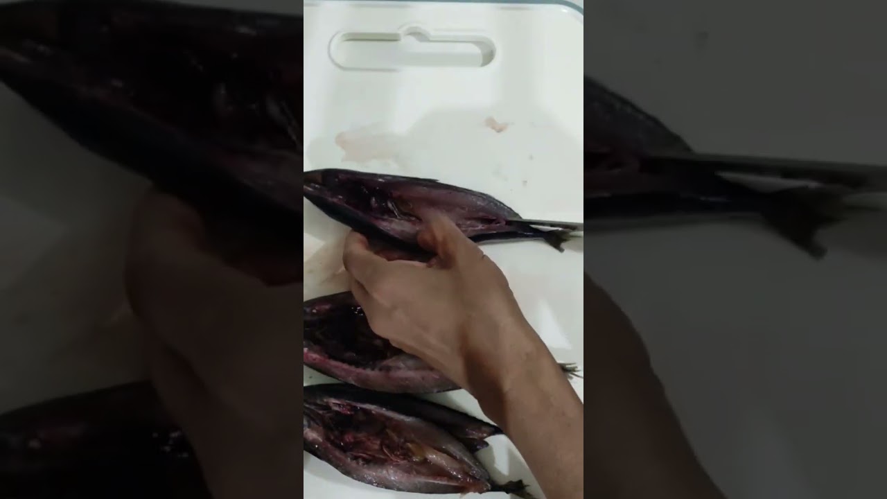 Mackerel fish cutting #subscribe #satisfying #cuttingsound #trending #asmr #trending #elizaguirre