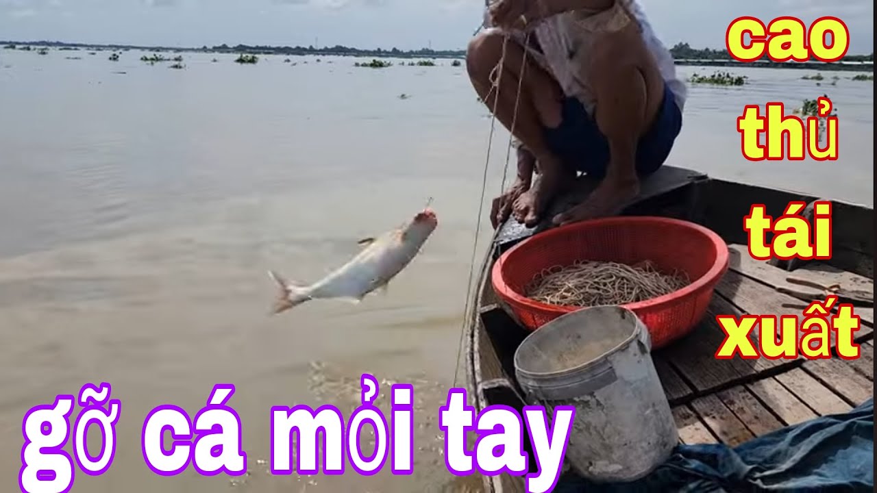 Bậc Thầy Giăng Câu Sông Tiền Tái Xuất Cá Dính Câu Gỡ Không Kịp Luôn # SĂN BẮT ĐỒNG THÁP #