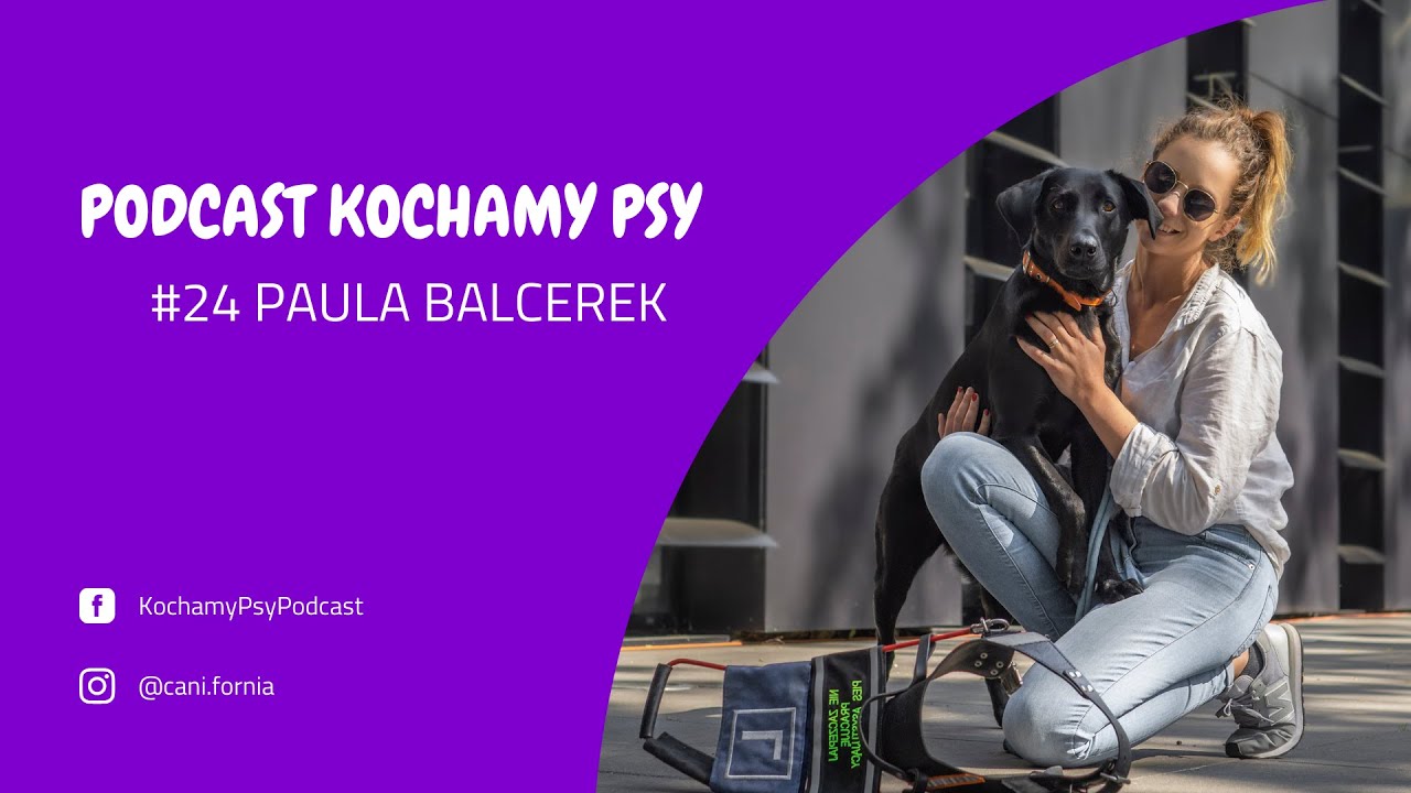 Paula Balcerek cz. 1 - pies przewodnik, labradory
