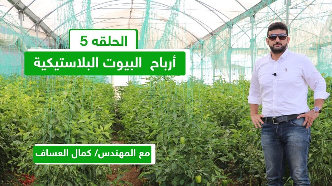 الحلقه الخامسة/ الأرباح التي تم تحقيقها من زراعة الخضارفي البيوت البلاستيكيه في تركيا