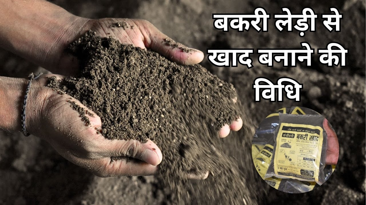 बकरी लेड़ी से खाद बनाने की विधि