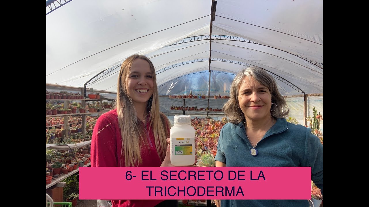 5 - EL SECRETO DE LA TRICHODERMA