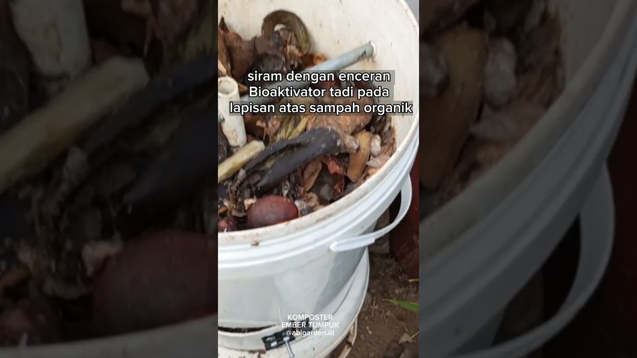 SAMPAH ORGANIK DI KOMPOSTER EMBER TUMPUK BAU ? INI SOLUSINYA KAK ✅