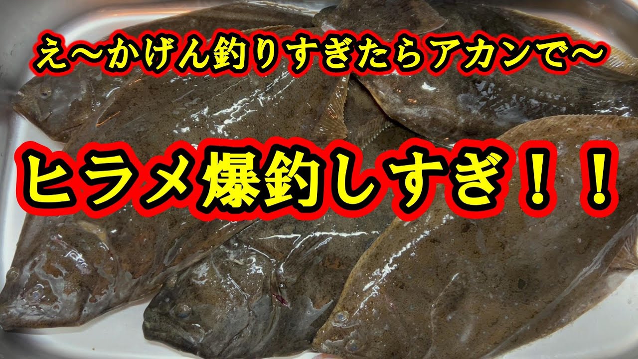 【ヒラメの釣り方】さえ知れば堤防無敵のヒラメ師になれます