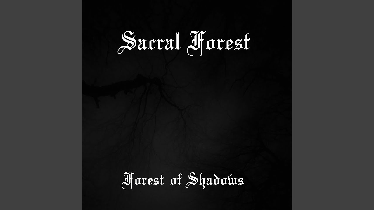 Forest Of Shadows