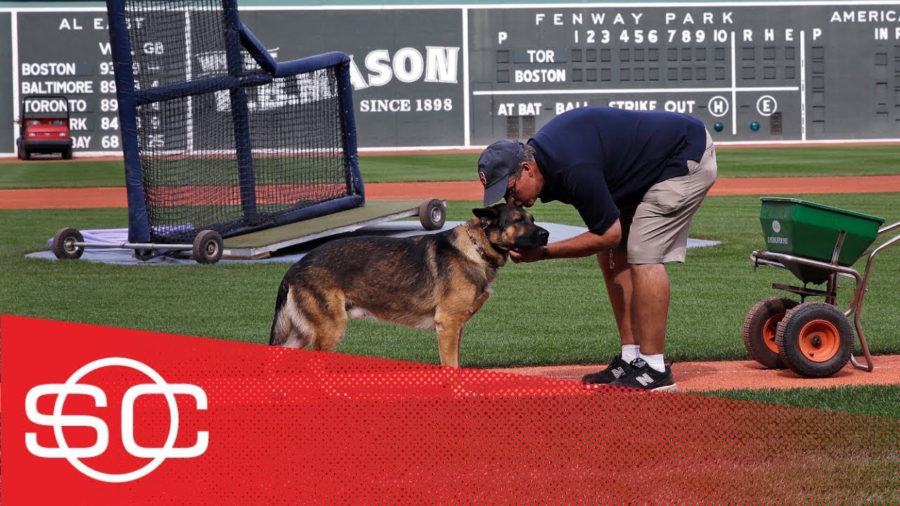 Service dog helps Red Sox&rsquo;s groundskeeper deal with PTSD | SportsCenter