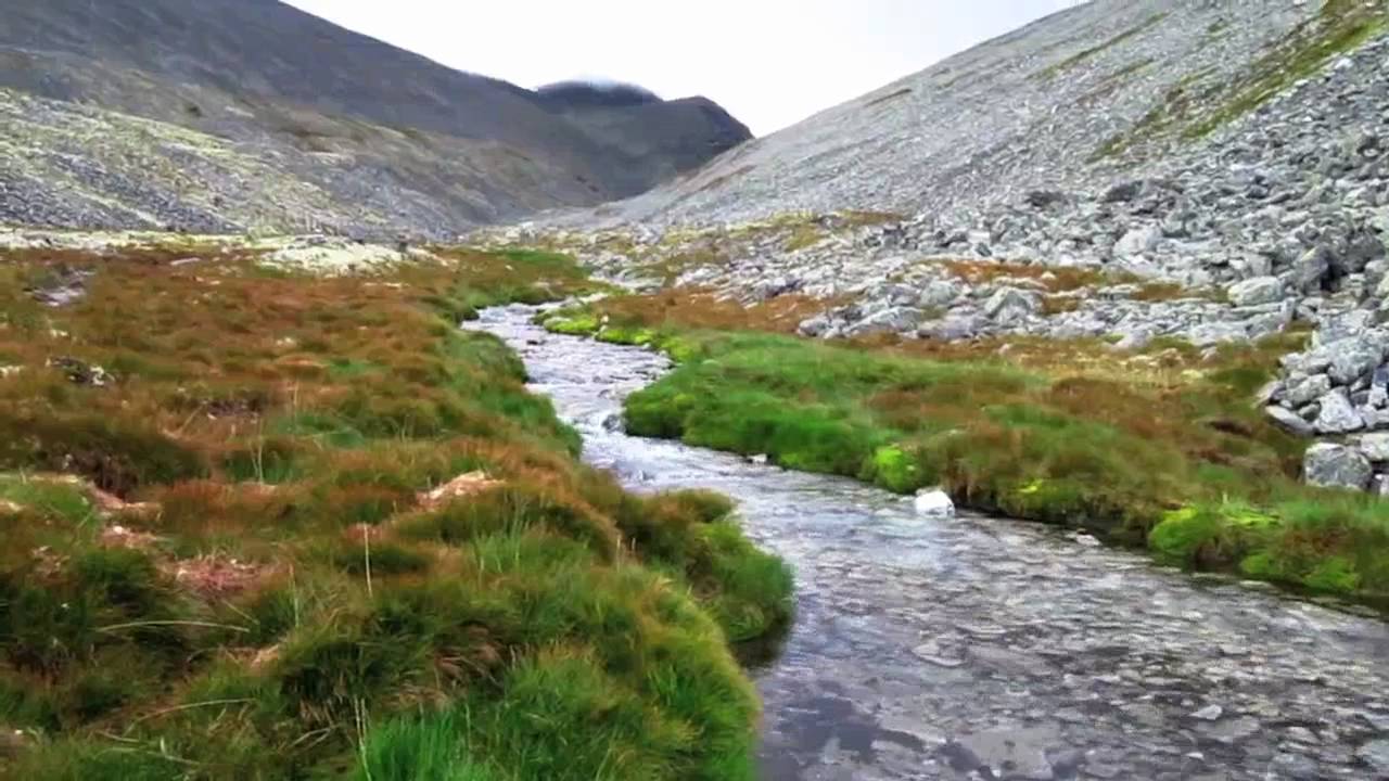 Rondane Grimsdalshytta - Dørålseter - Rondvassbu og villrein