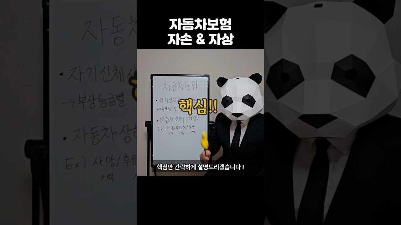 자동차보험의 자손과 자상