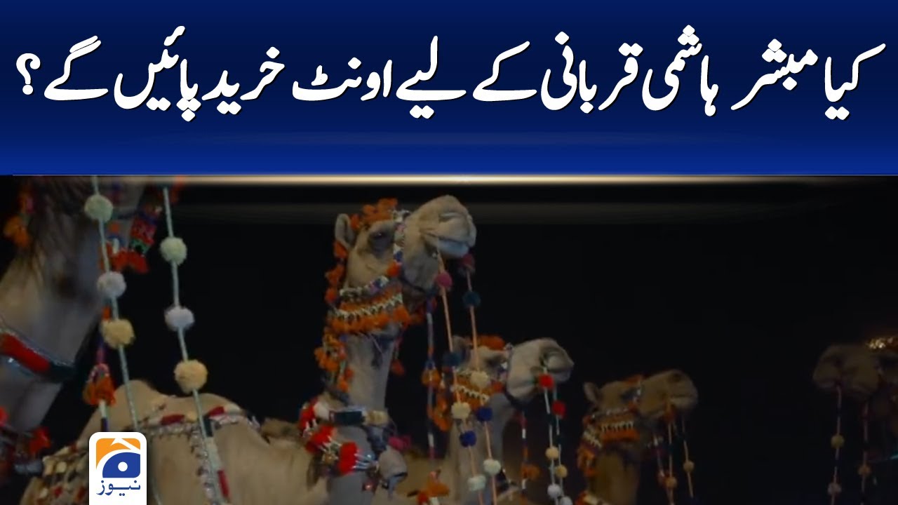 Will Mubashir Hashmi be able to buy a camel for the sacrifice? | Geo News