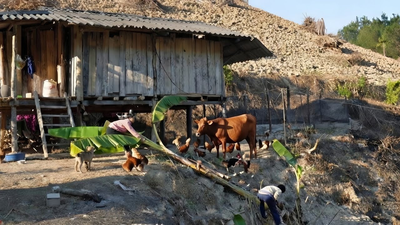 The couple built their own home together, and this is how they did it.