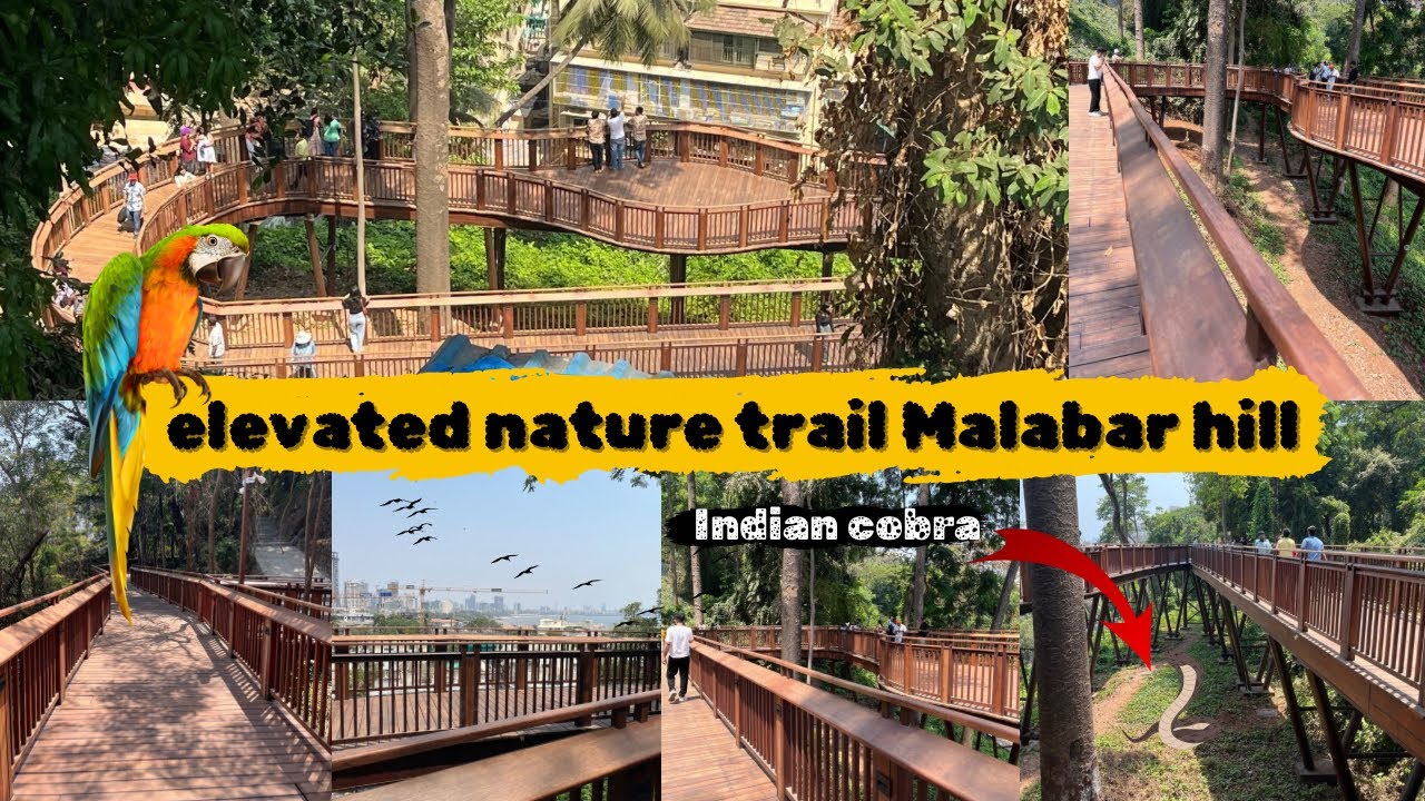 Elevated Nature Trail At Malabar Hill | Style Of Singapore Forest 🌳 Walk 🚶 | Malabar Hill Mumbai