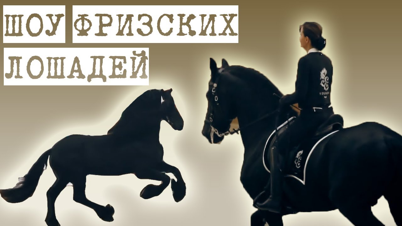 Шоу ФРИЗСКИХ лошадей на выставке 