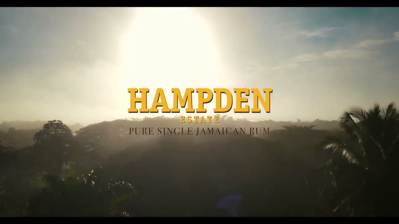 Visite de la distillerie de RHUM Hampden - Vous allez halluciner !