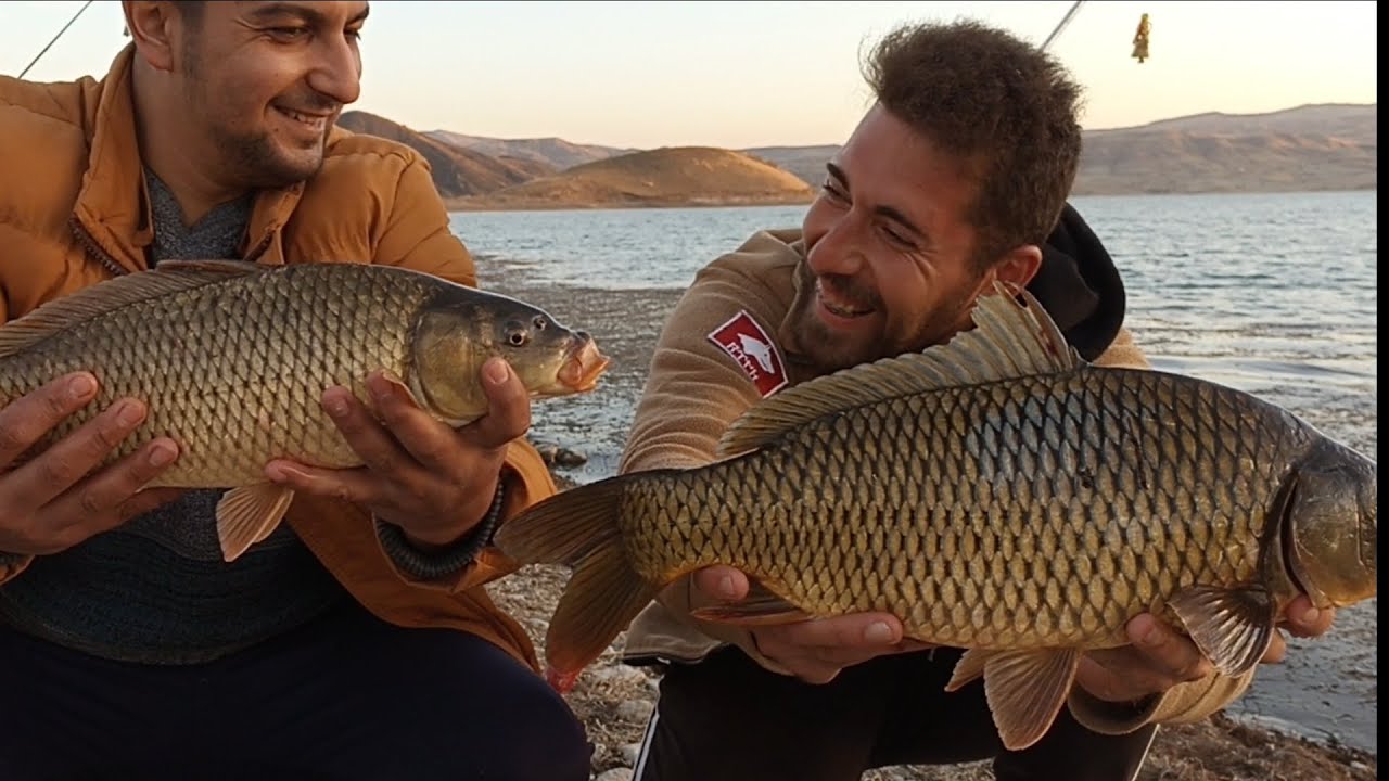 DAVRAN ZABIT OTLARIN İÇİNDEN ZOR CIKAN DEV SAZAN ! #fishing#sazanavı#balıkavı#oltabalıkçılığı#fyp#fy