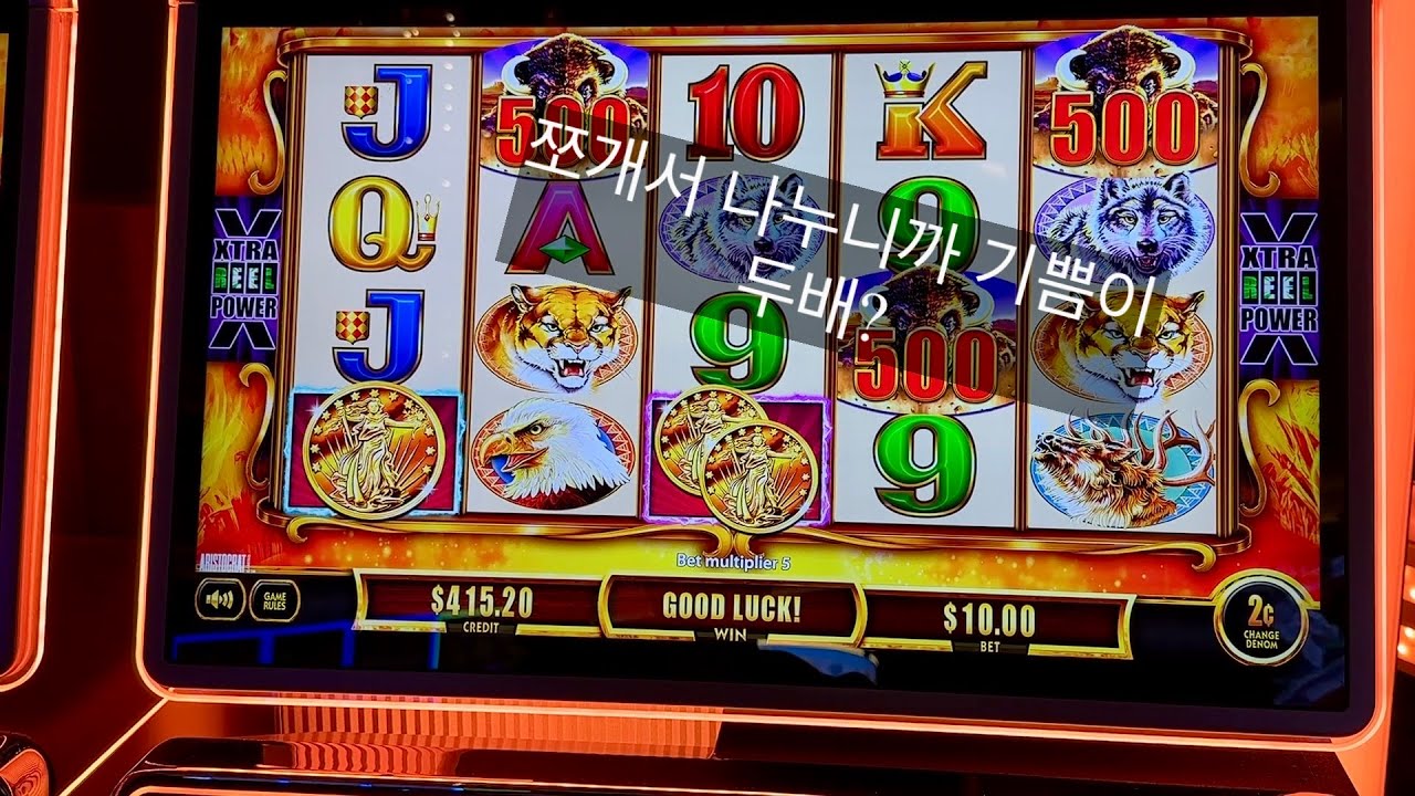 샌프란시스코 카지노 슬롯머신, 심심해 카지노나 가봐? 3탄, 버팔로 골드캐쉬, 잭팟샷, 랜턴 라이즈. 오랜만에 버팔로