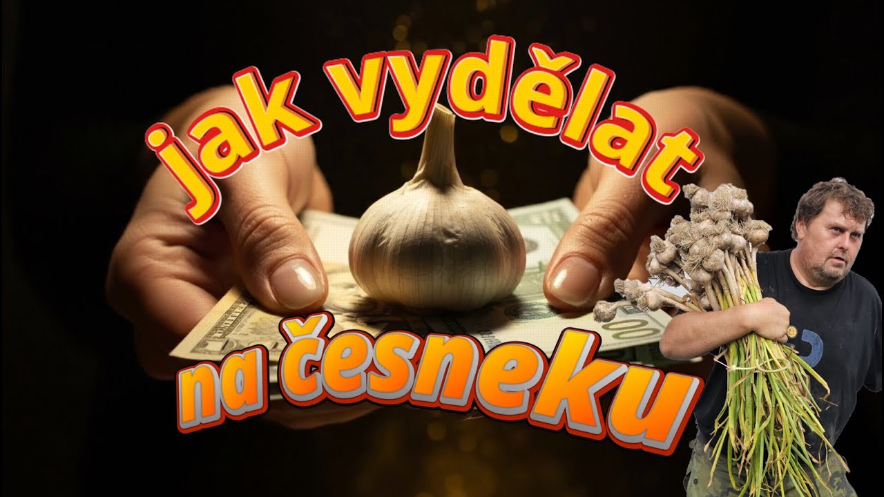 SAMOSBĚR ČESNEKU 🧄 Děti vydělávají na NOTEBOOK! Brigády pro děti a ČESNEK 💸💻