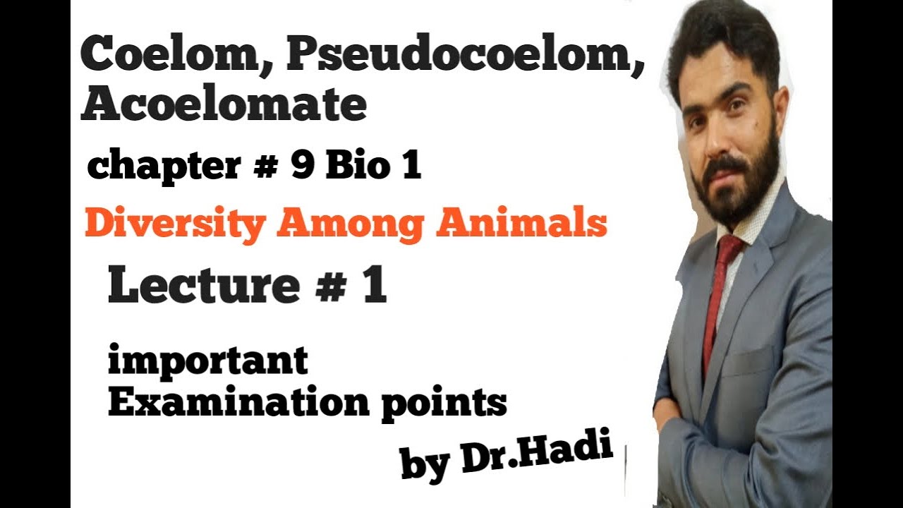 L-3 Classification of animals on the basis of Coelom, Acoelomate and Pseudocoelomate in Urdu Hindi