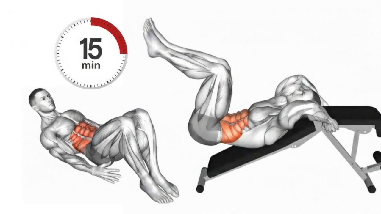 Gym Abs Workout for Beginners to Advanced
