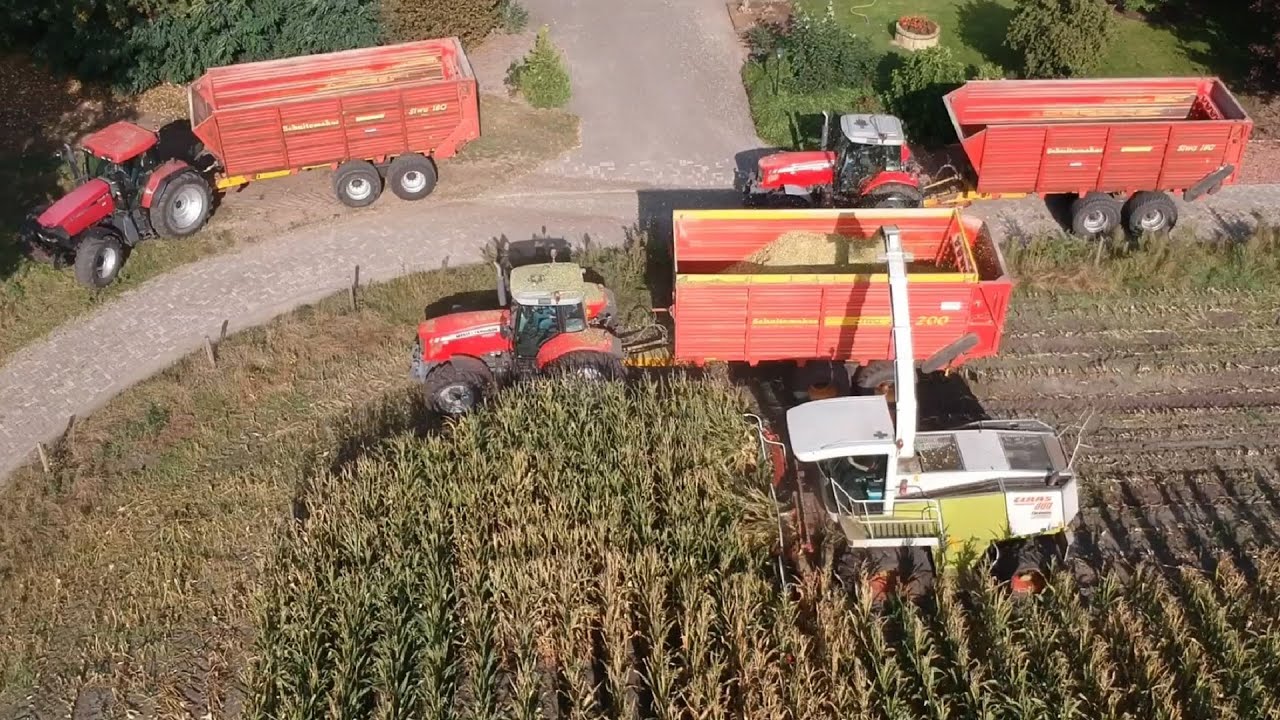 Chopping corn with Jaguar 880
