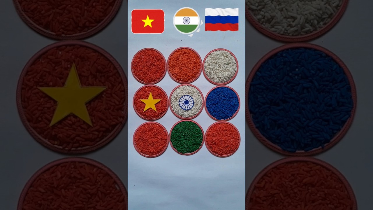 🇮🇳🇻🇳🇷🇺 Country Flags Rice Art 😍 | Independence day | Republic day #shorts