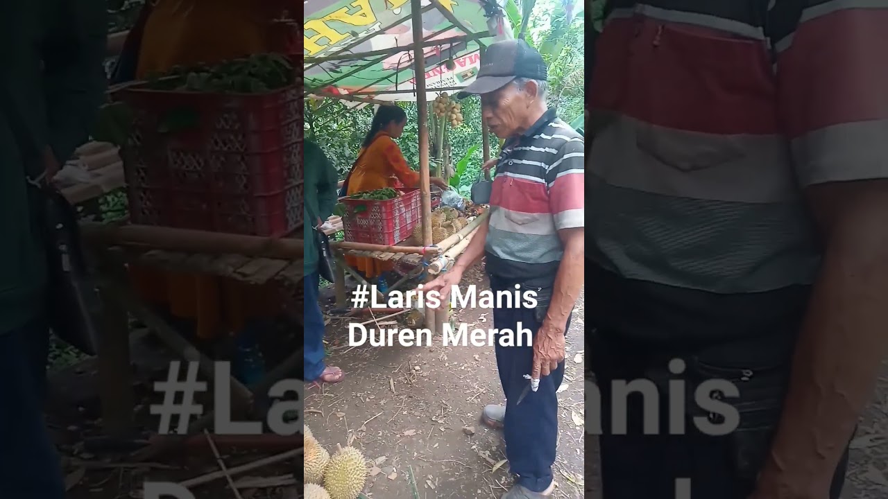 Emang Enak Sekali Duren Merah Songgon