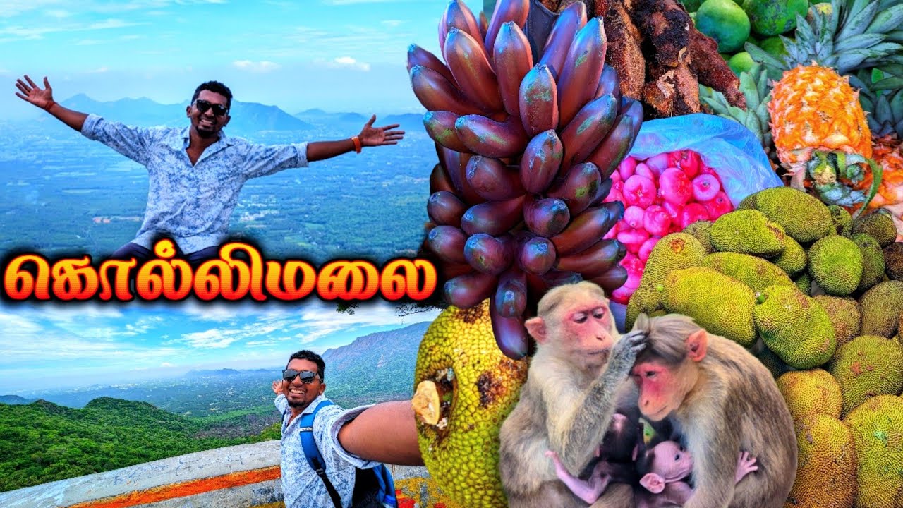 🔥கொல்லிமலை 