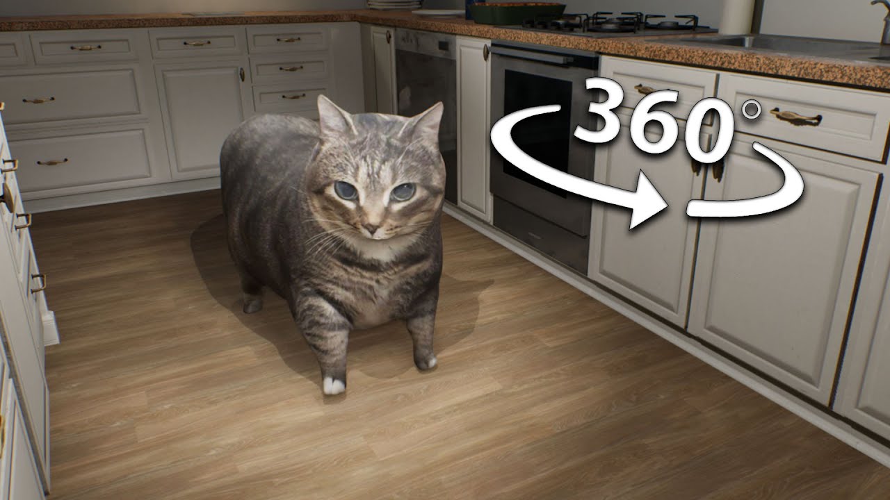OIIAOIIA Кот врывается в ваш дом 360/VR