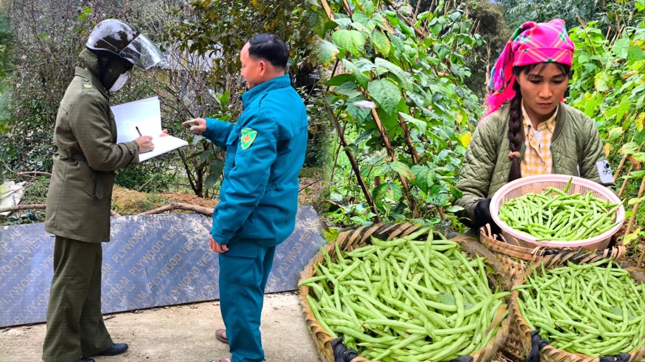 A single mother was picking beans to sell while police were searching for a stranger.