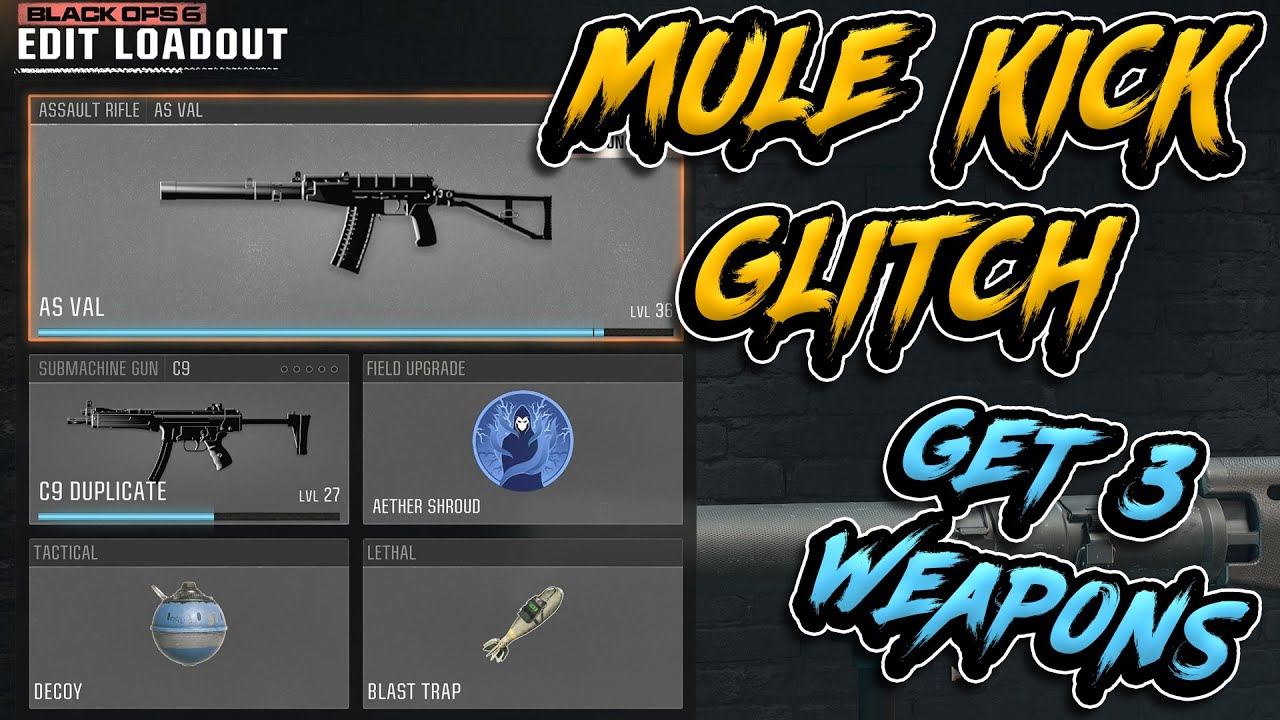 MULE KICK GLITCH Get 3 Primary Weapons in Black Ops 6 ZOMBIES | Bo6 Mule Kick Perk