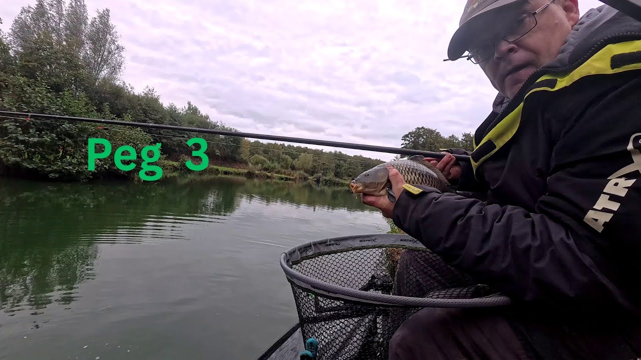 Live Fishing Match at Toad Hall Fishery on the 25 10 2025 peg 3