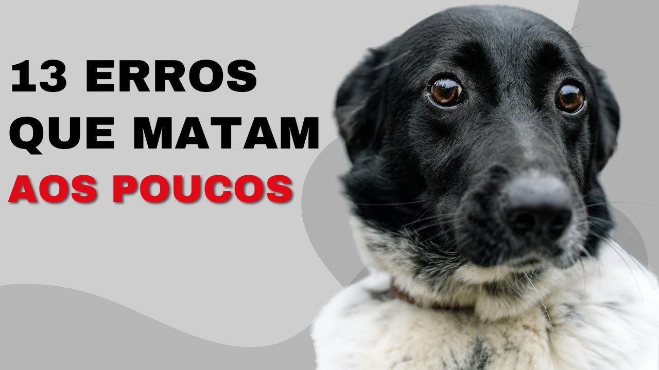 13 ERROS QUE MATAM AOS POUCOS