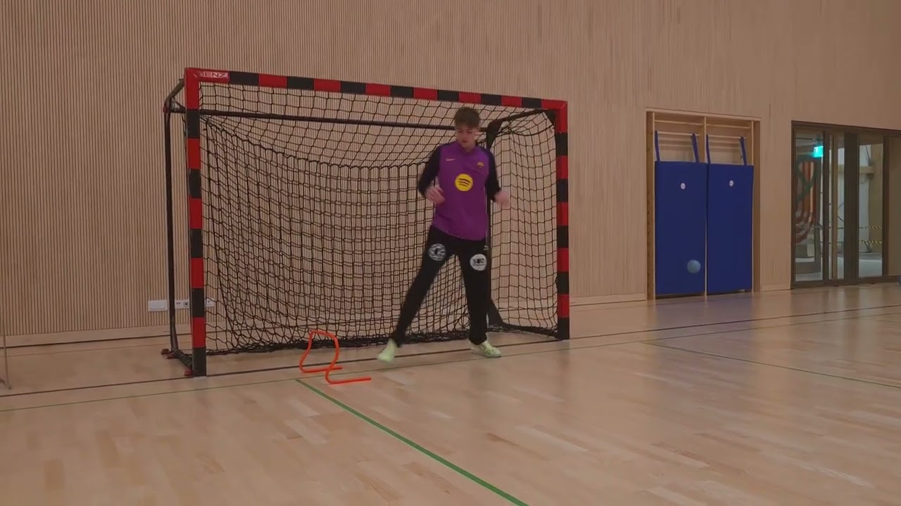 Goalkeeper training by Rajko Milosevic